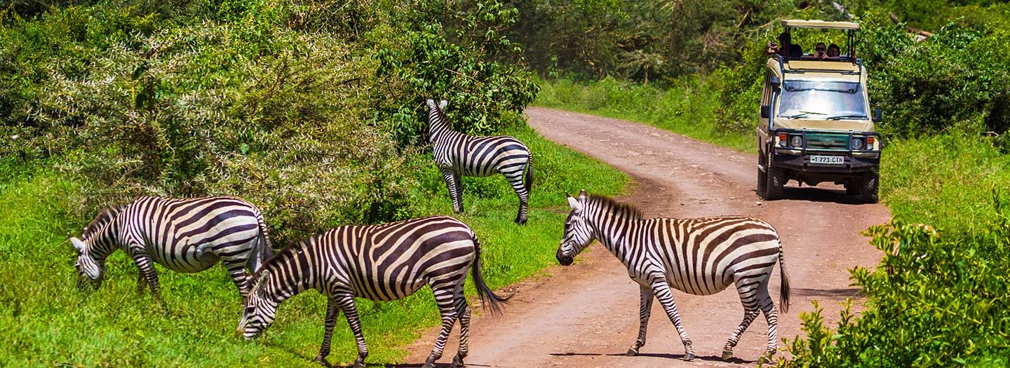 Arusha National Park